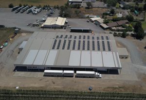 Read more about the article Goulburn Valley fruit farmer cuts power costs by $62k a year with solar